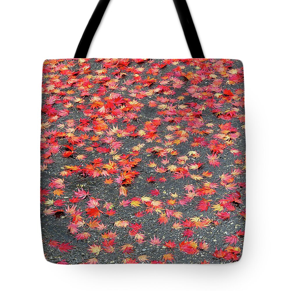 Autumn Tote Bag featuring the photograph Nature's Confetti by Linda Stern