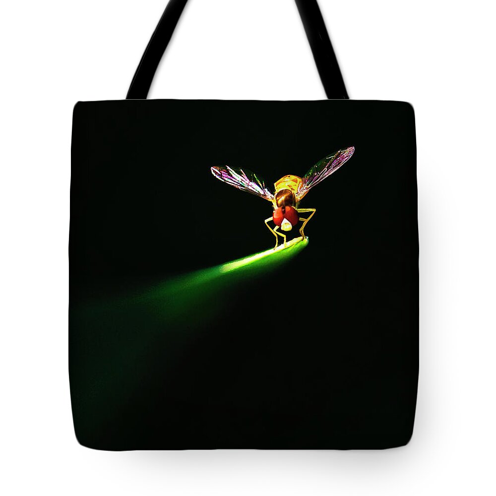 Insect Tote Bag featuring the photograph Natures Spotlight On An Insect by Vicki Jauron, Babylon And Beyond Photography
