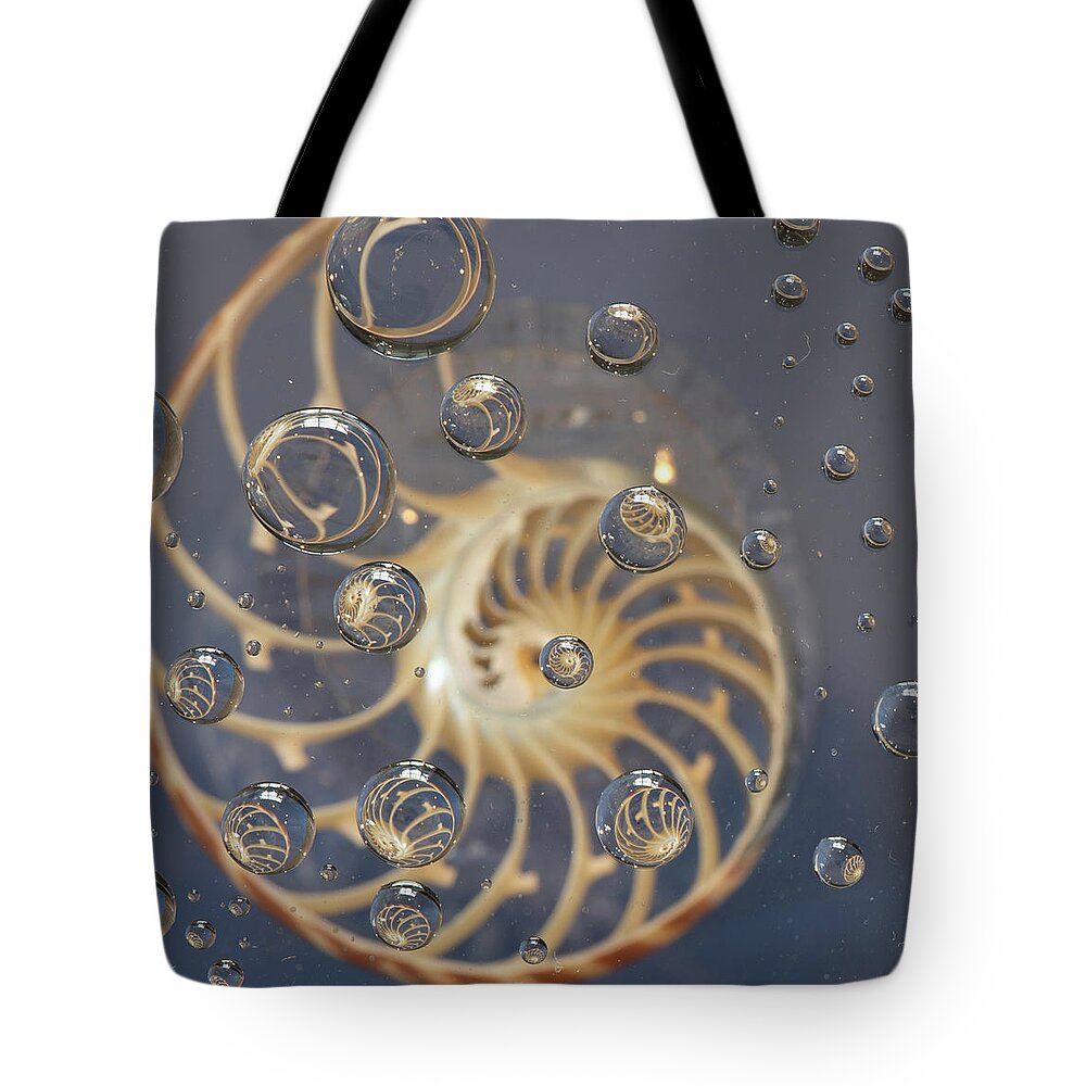 Nautilus Shell Tote Bag featuring the photograph Nautilus Shell by Minnie Gallman
