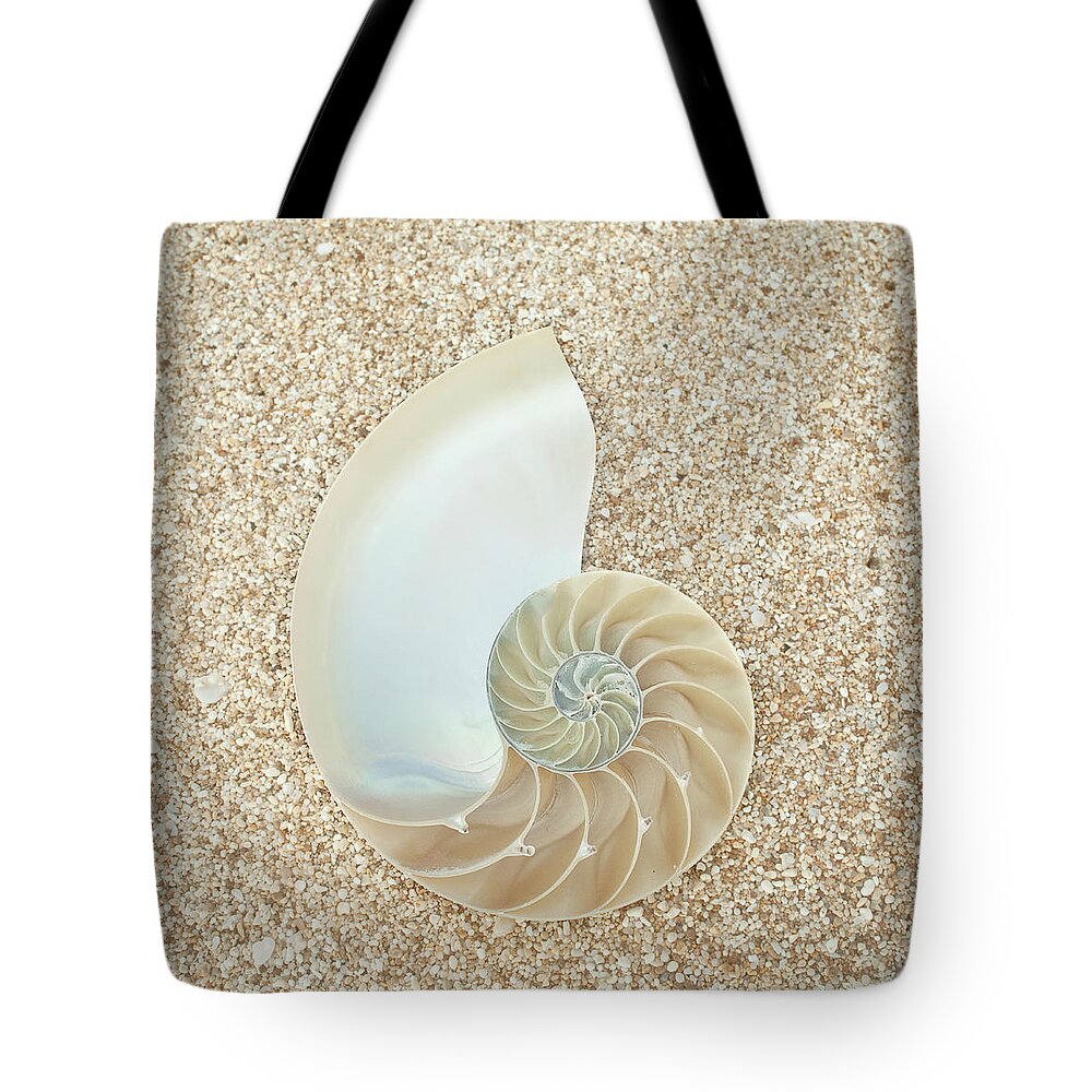 Scenics Tote Bag featuring the photograph Nautilus Shell On Sand by Siri Stafford