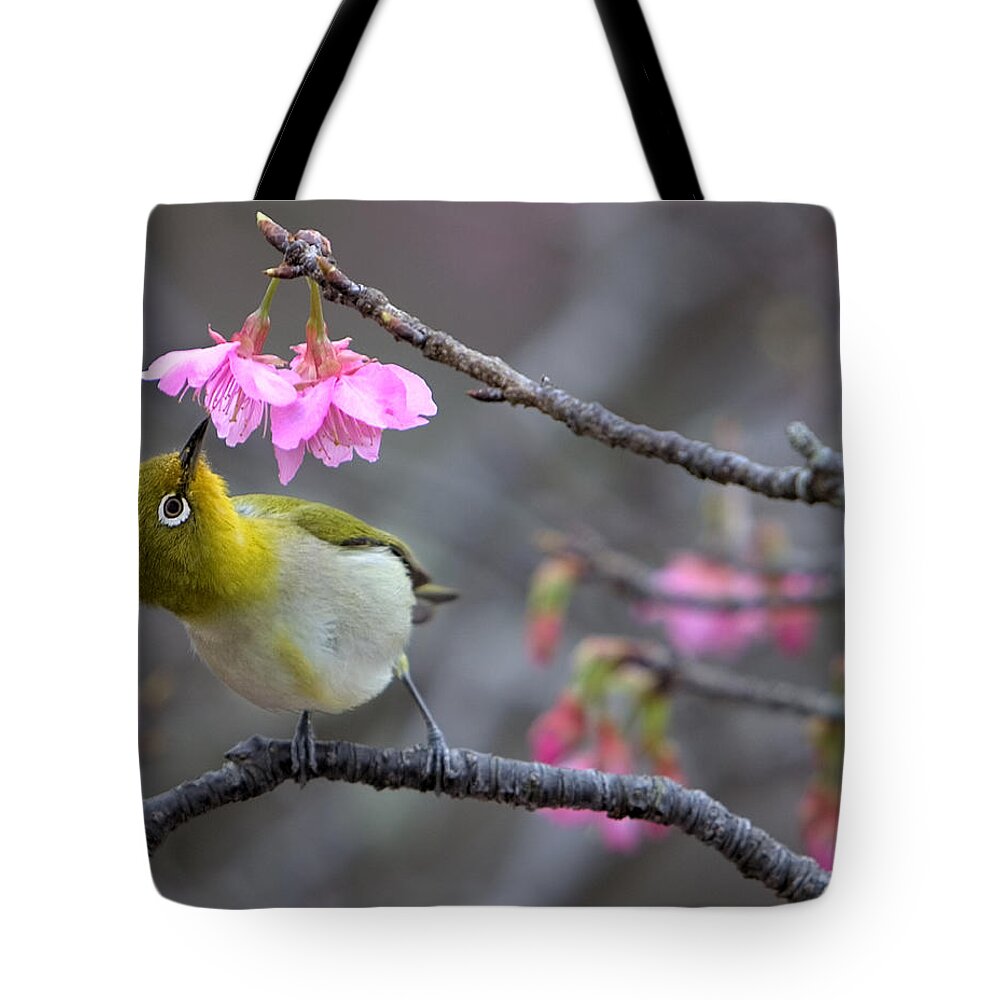 Songbird Tote Bag featuring the photograph Nectar by Karen Walzer