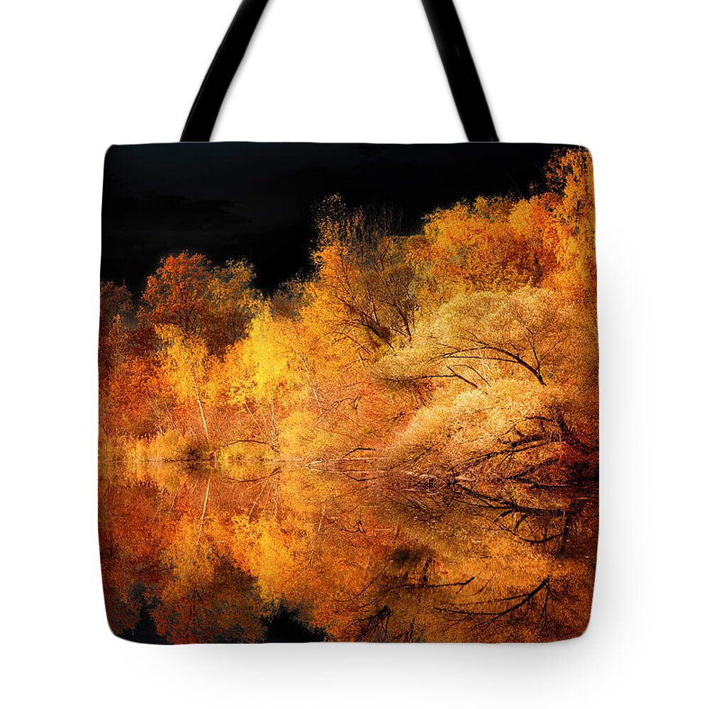 Autumn Tote Bag featuring the photograph New Look by Philippe Sainte-Laudy