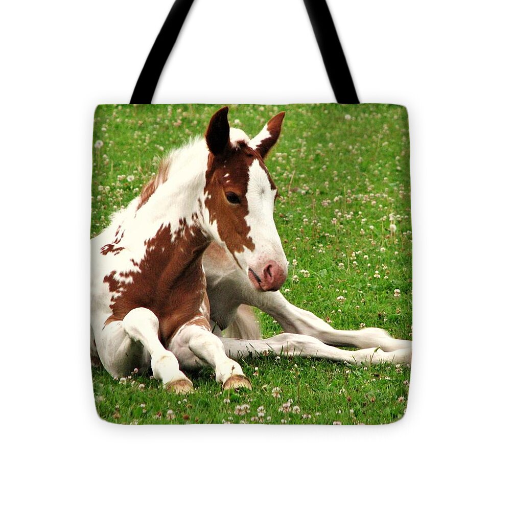 Horses Tote Bag featuring the photograph Newborn Foal by Lori Frisch