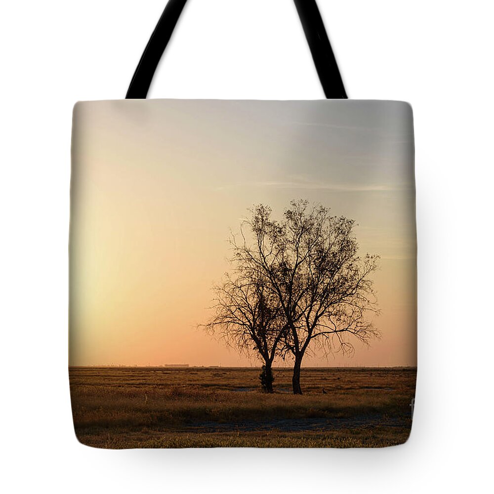 California Tote Bag featuring the photograph Rage Against the Dying of the Light by Jeff Hubbard