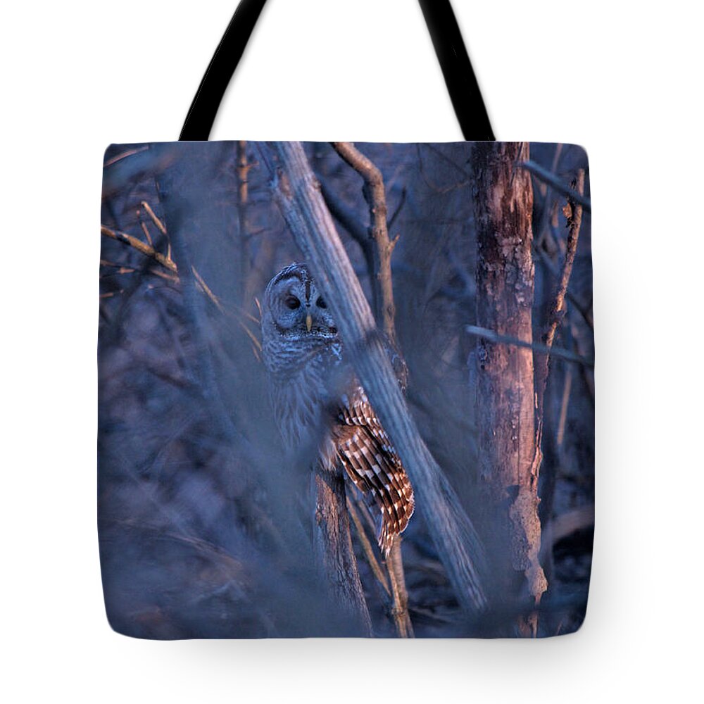 Barred Owl Tote Bag featuring the photograph Night Watchman by Nunweiler Photography