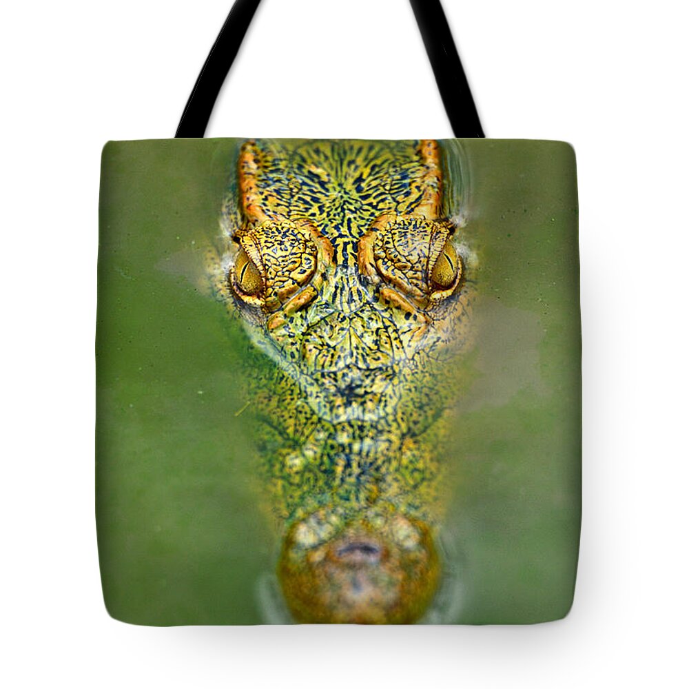 Animal Themes Tote Bag featuring the photograph Nile Crocodile Crocodylus Niloticus by Art Wolfe