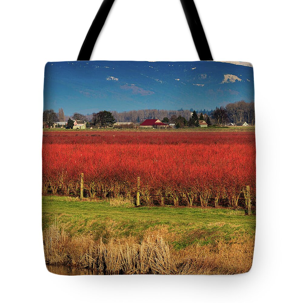 Landscape Tote Bag featuring the photograph Nine Layer Dip by Briand Sanderson