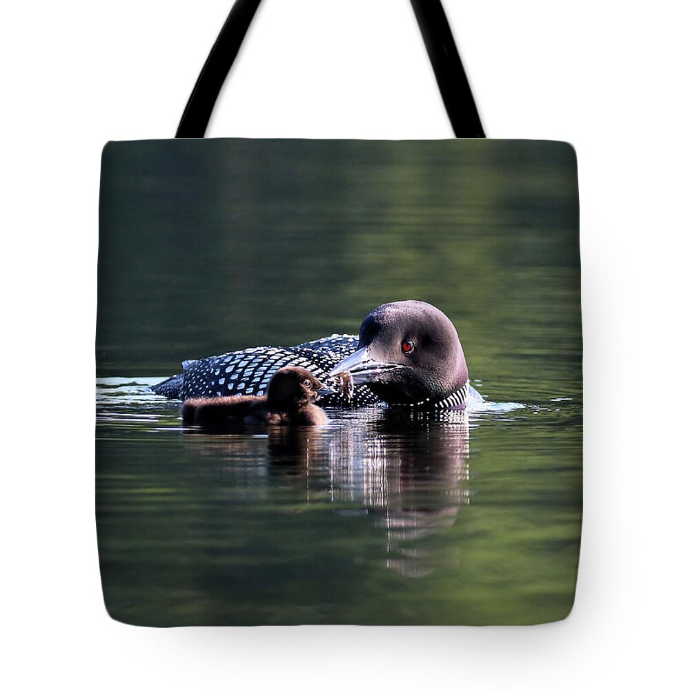 Common Loon Tote Bag featuring the photograph No Thanks by Sandra Huston