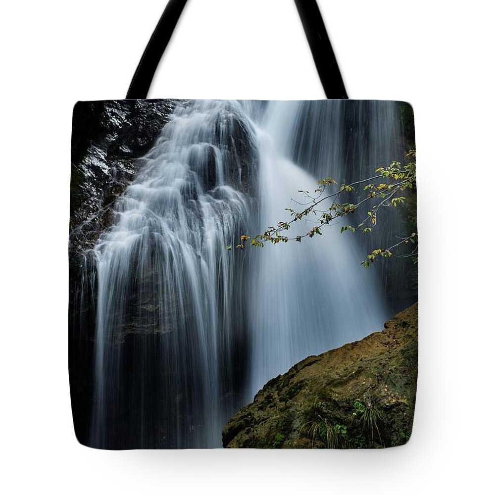 Slovenia Tote Bag featuring the photograph Noisy Falls by Robert Grac