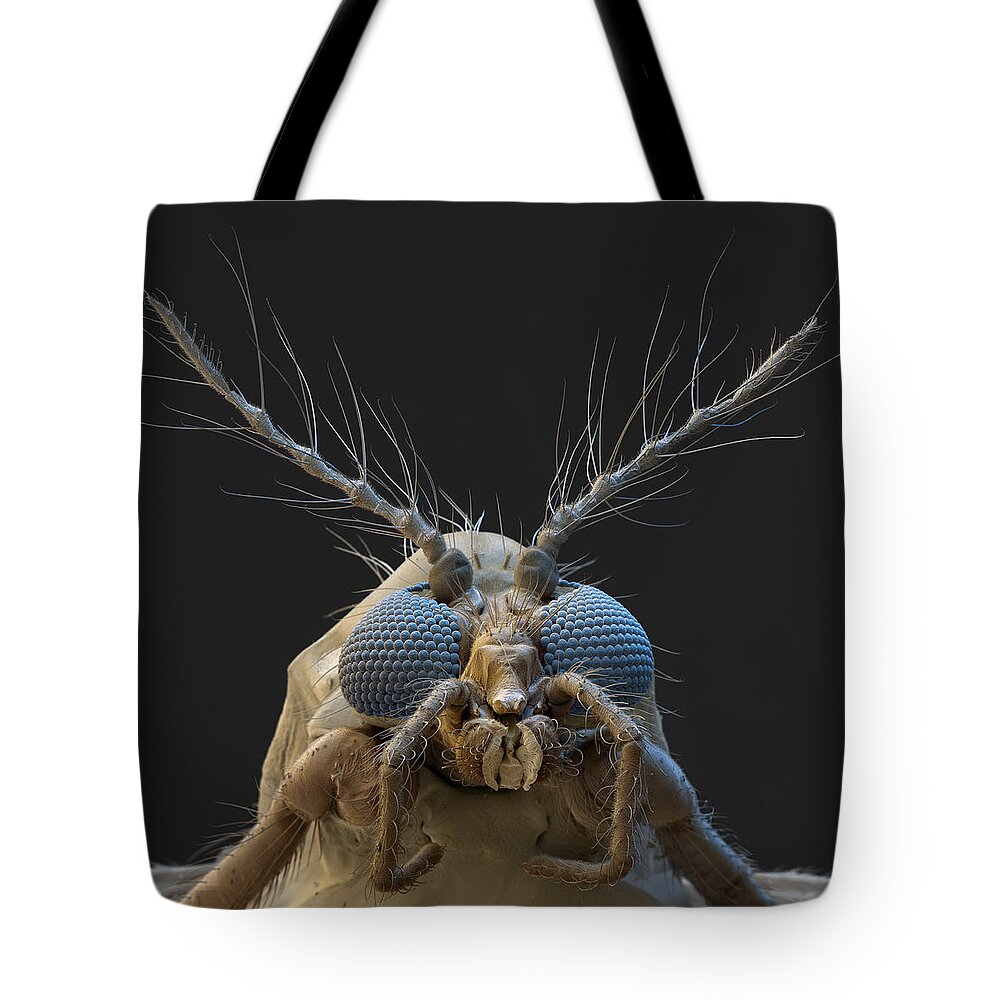 Animal Tote Bag featuring the photograph Nonbiting Midge, Chironomidae Sp., Sem by Meckes/ottawa