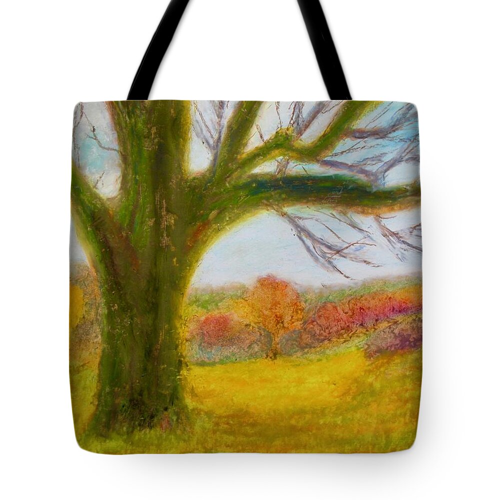 Landscape Tree Meadow Autumn Fall Leaves Series Seasons Tote Bag featuring the drawing Northampton County Autumn by Thomas Santosusso