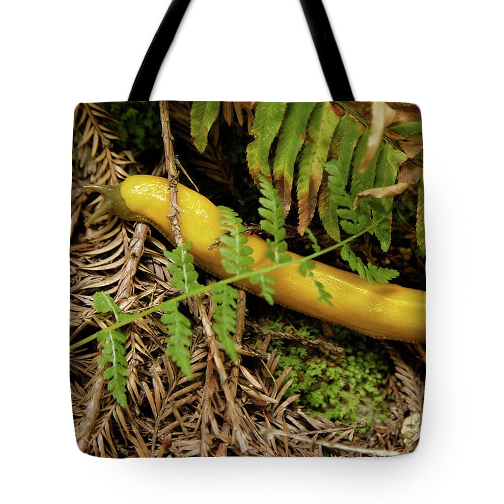 Slug Tote Bag featuring the photograph Northern California Forest Floor Resident by Natural Focal Point Photography
