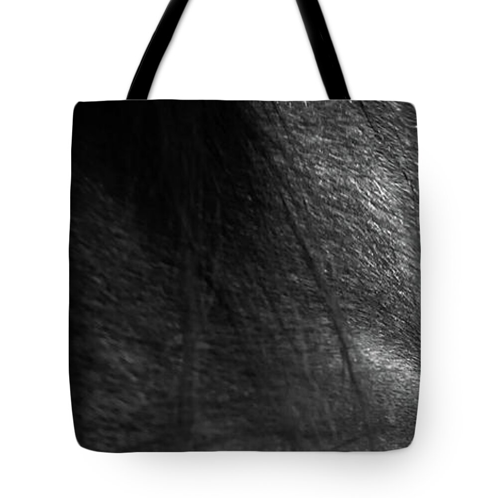 Equine Tote Bag featuring the photograph Nova by Catherine Sobredo