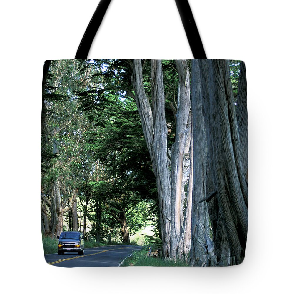 Estock Tote Bag featuring the digital art Oak Alley At Highway 1, California by Heeb Photos