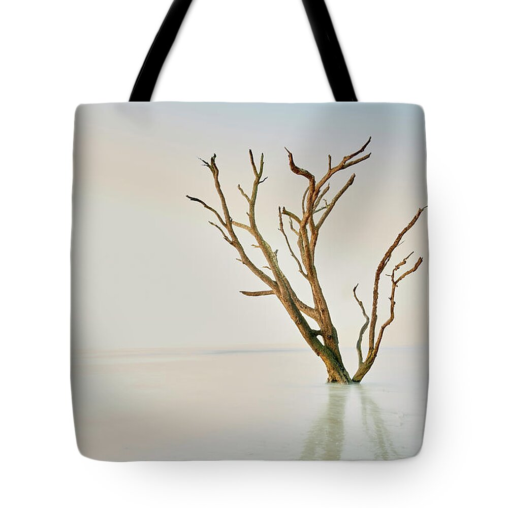 Nature Tote Bag featuring the photograph Oak in the Ocean by Jon Glaser
