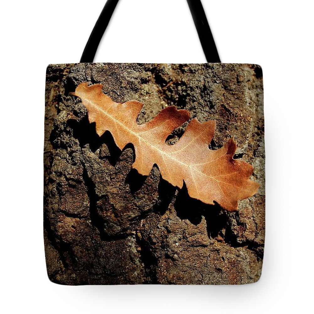 Oak Tote Bag featuring the photograph Oak leaf on bark by Martin Smith