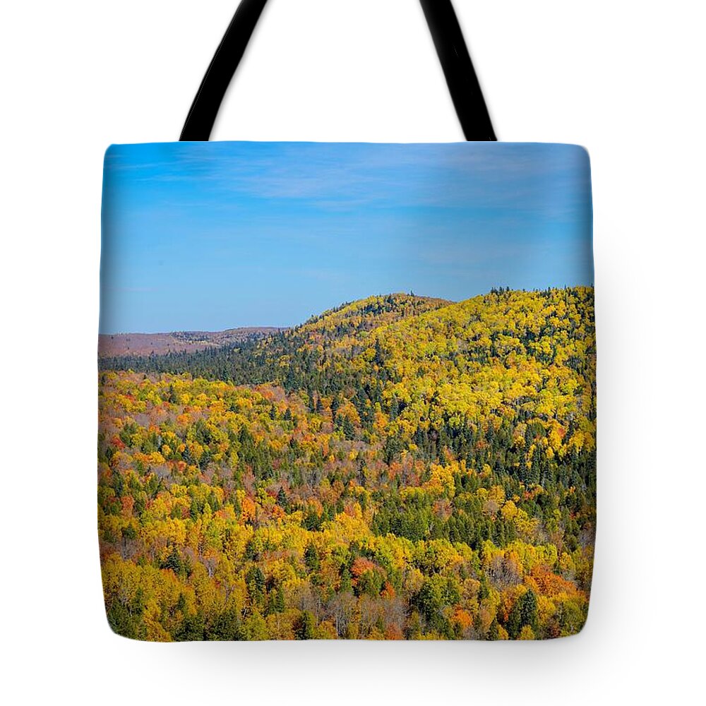 Panorama Tote Bag featuring the photograph Oberg Mountain in Autumn by Susan Rydberg