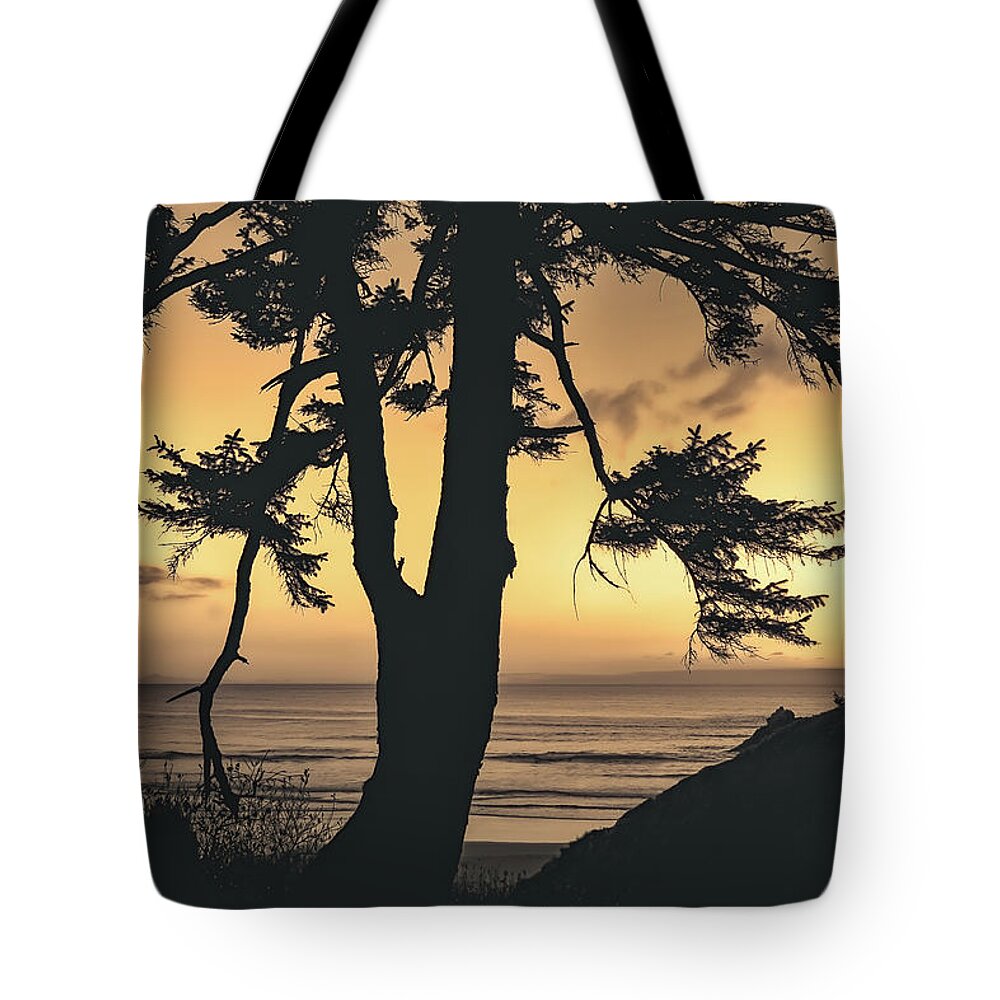 Oregon Tote Bag featuring the photograph Ocean View by Don Schwartz