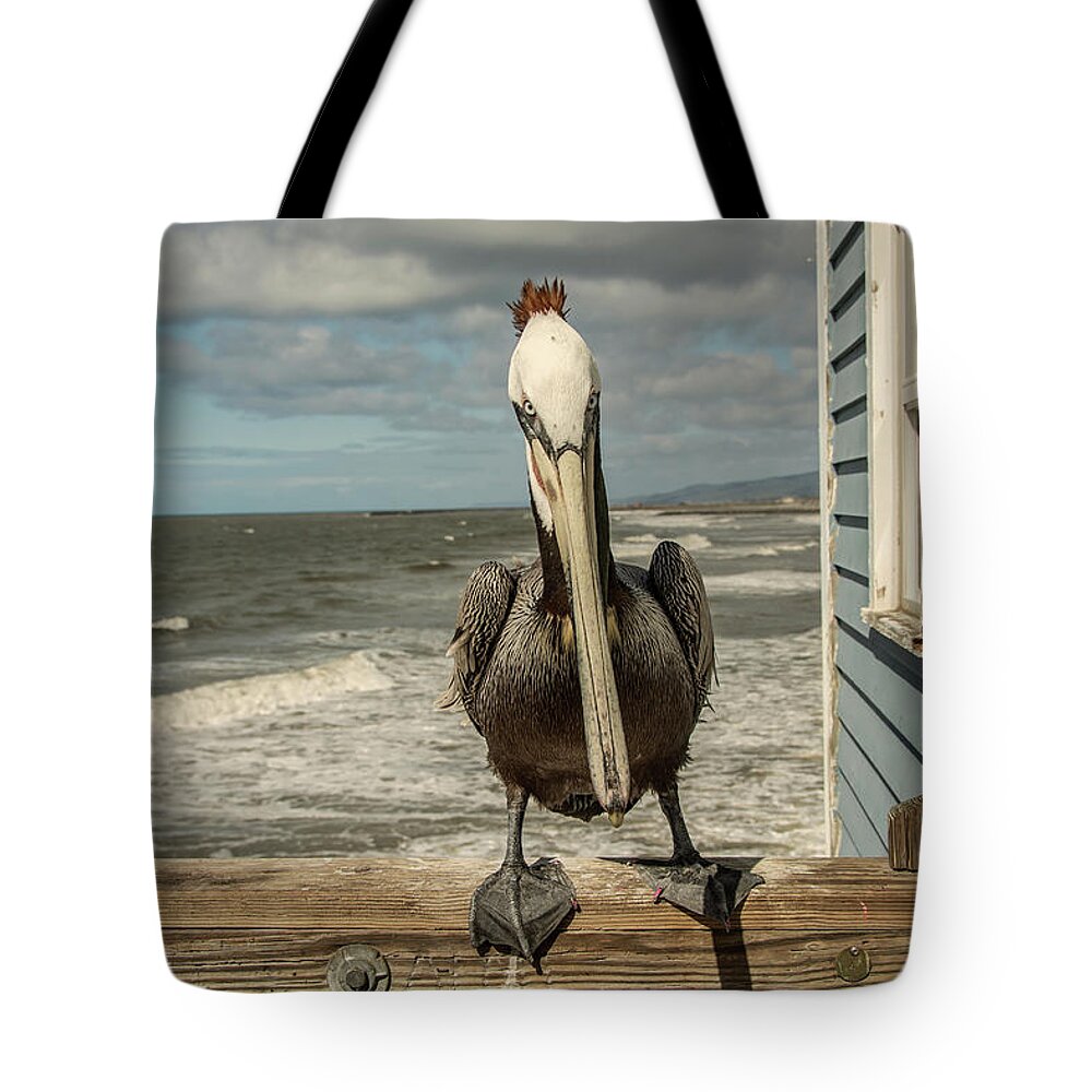 2019 Tote Bag featuring the photograph Oceanside Pier Peligan by Constance Puttkemery