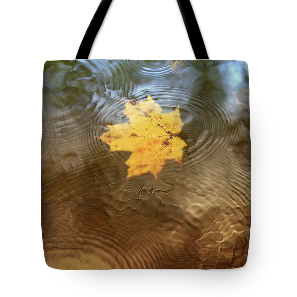 Leaf Tote Bag featuring the photograph October Rain by Rob Blair