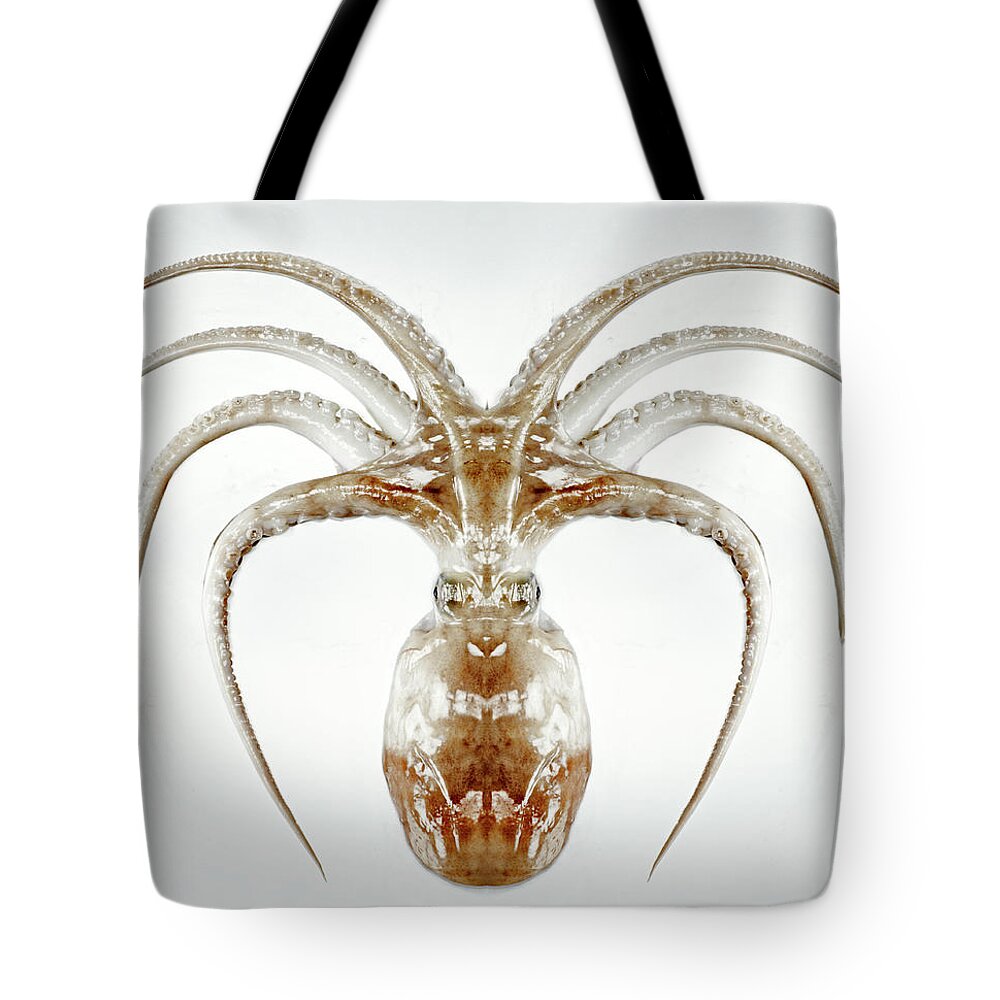White Background Tote Bag featuring the photograph Octopus by Holloway