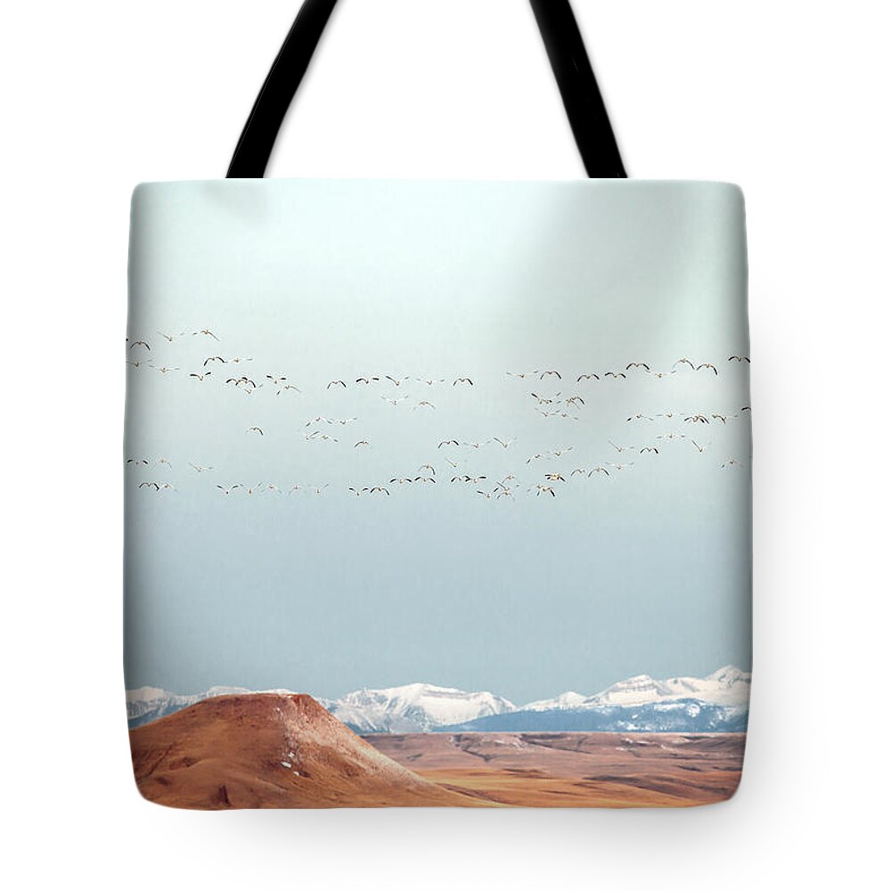 Snow Geese Tote Bag featuring the photograph O'er the Mountains by Todd Klassy