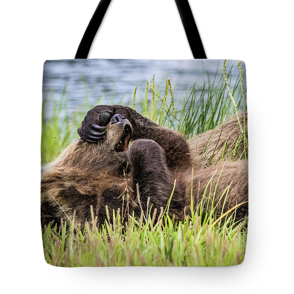 Grizzly Tote Bag featuring the photograph Oh my God... by Lyl Dil Creations