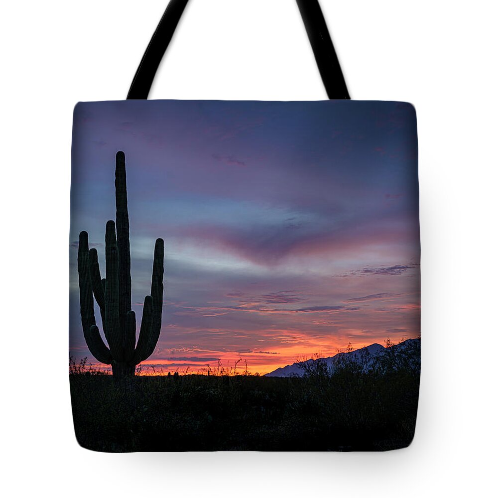 Desert Tote Bag featuring the photograph Oh the Colors by Laura Hedien