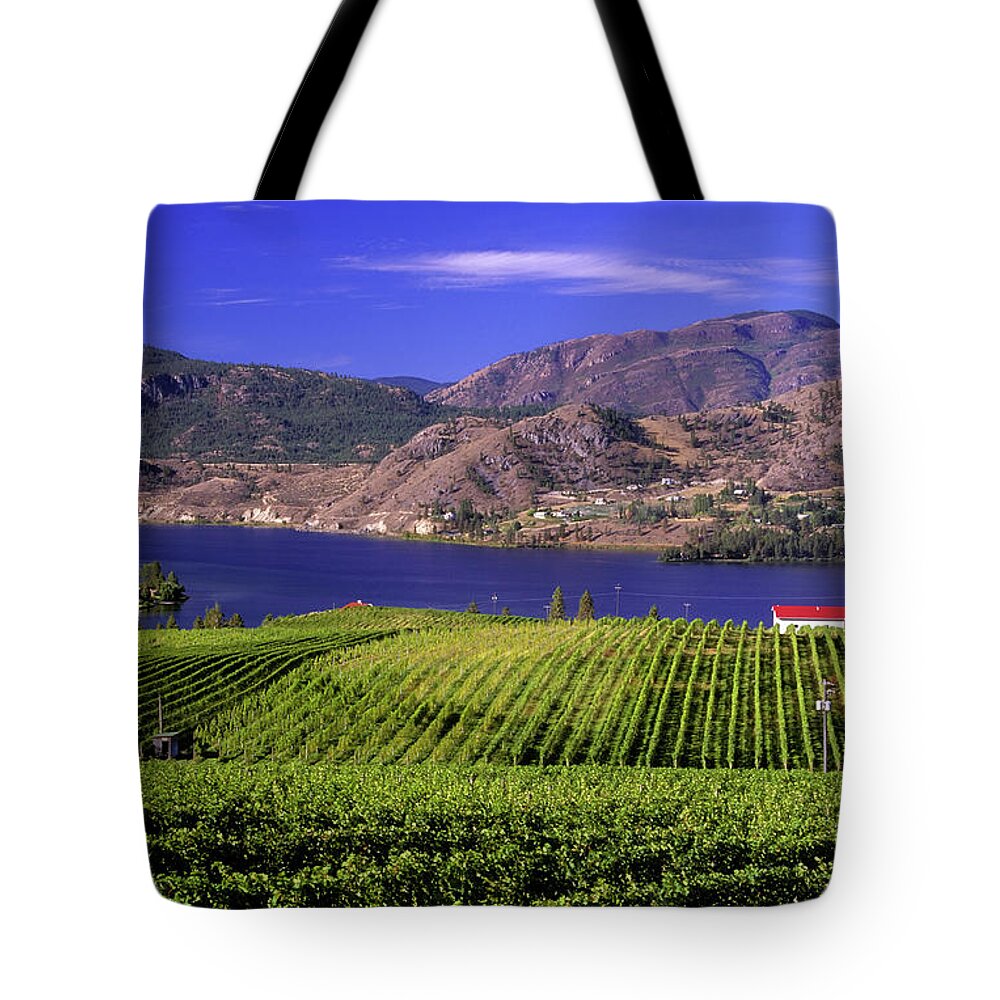 Scenics Tote Bag featuring the photograph Okanagan Valley Vineyard by Laughingmango