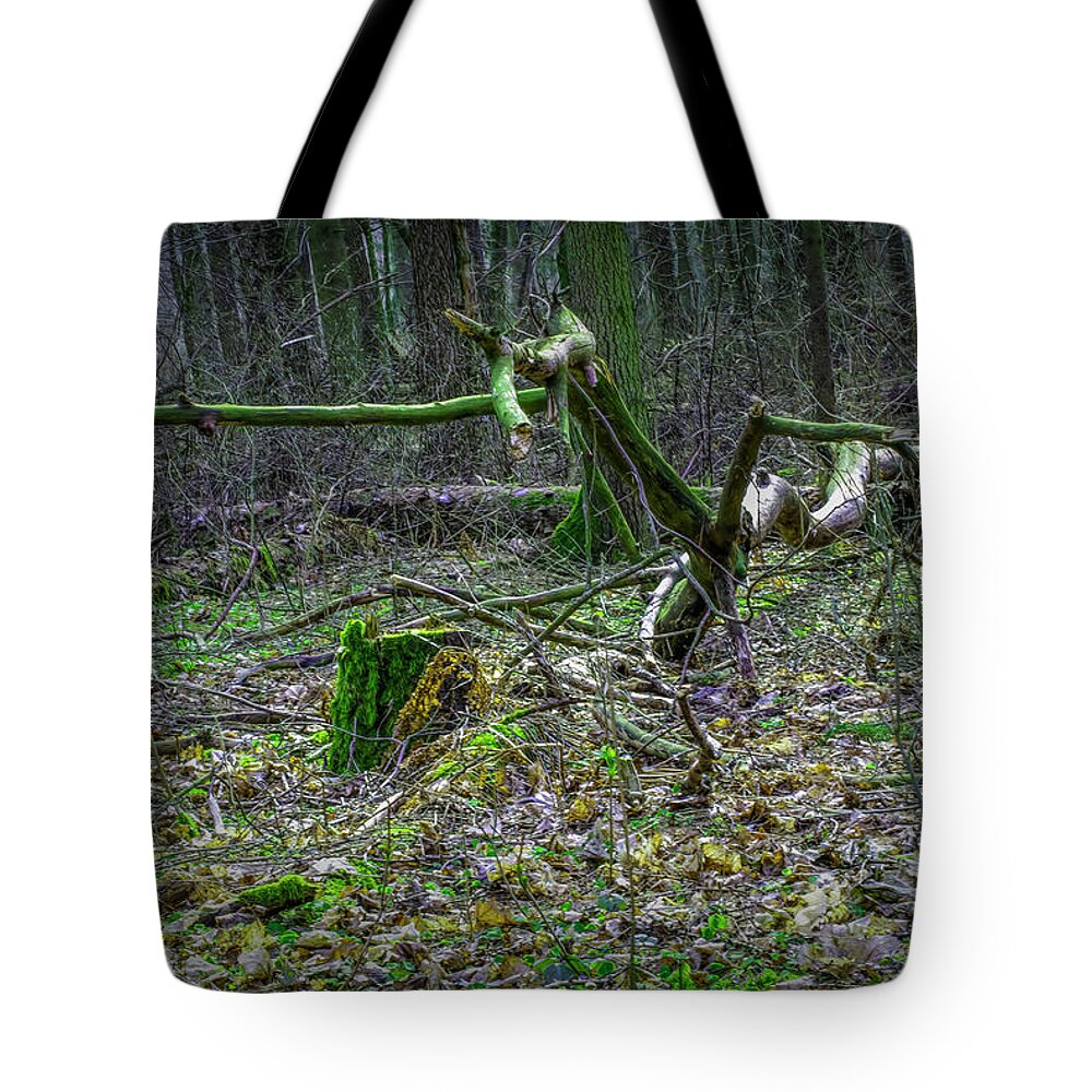 Old Forest Find Tote Bag featuring the photograph Old Forest Find #i6 by Leif Sohlman