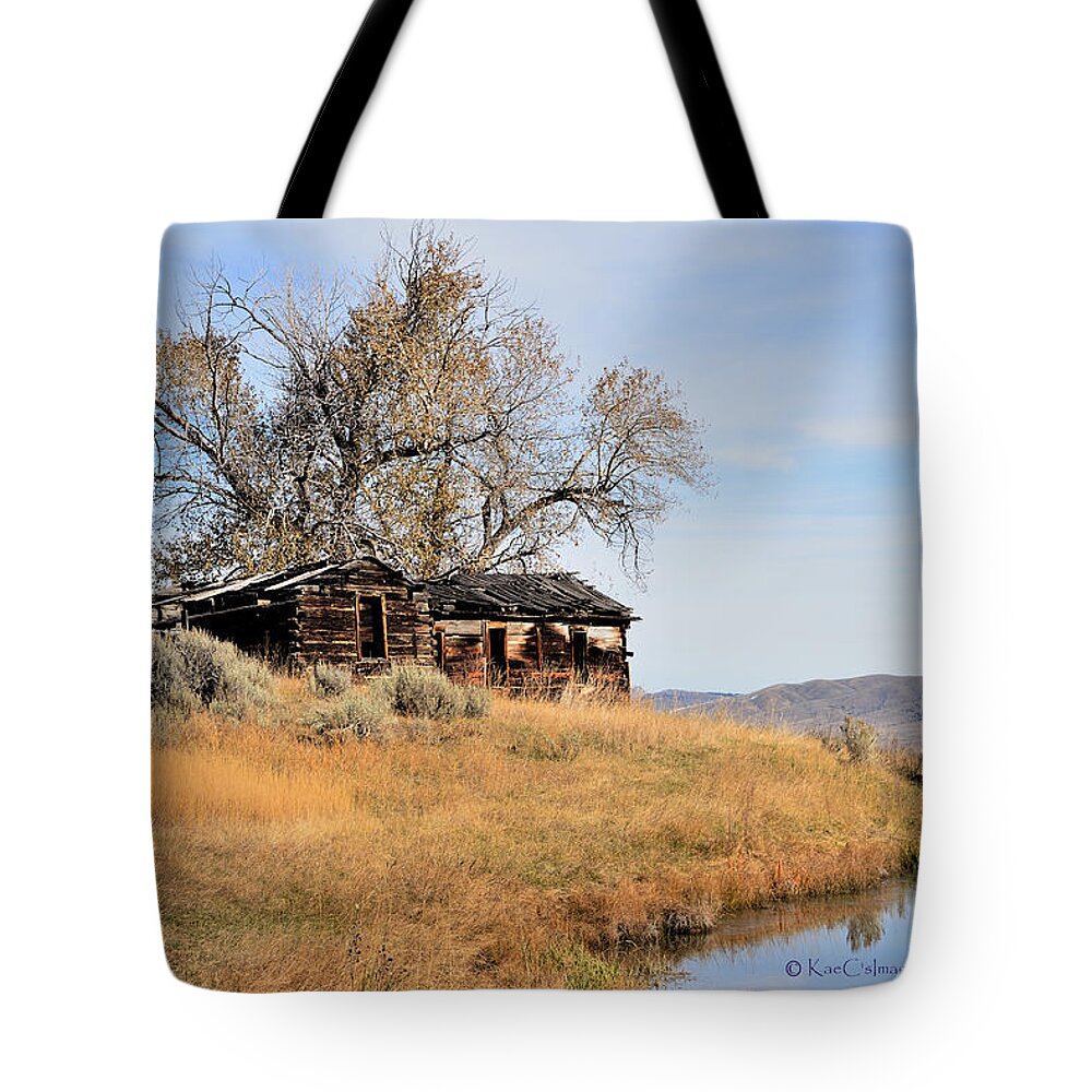 Old Log House Tote Bag featuring the photograph Old Homestead by Pond by Kae Cheatham