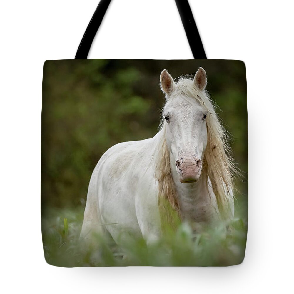 Wild Horse Tote Bag featuring the photograph Ombre by Holly Ross