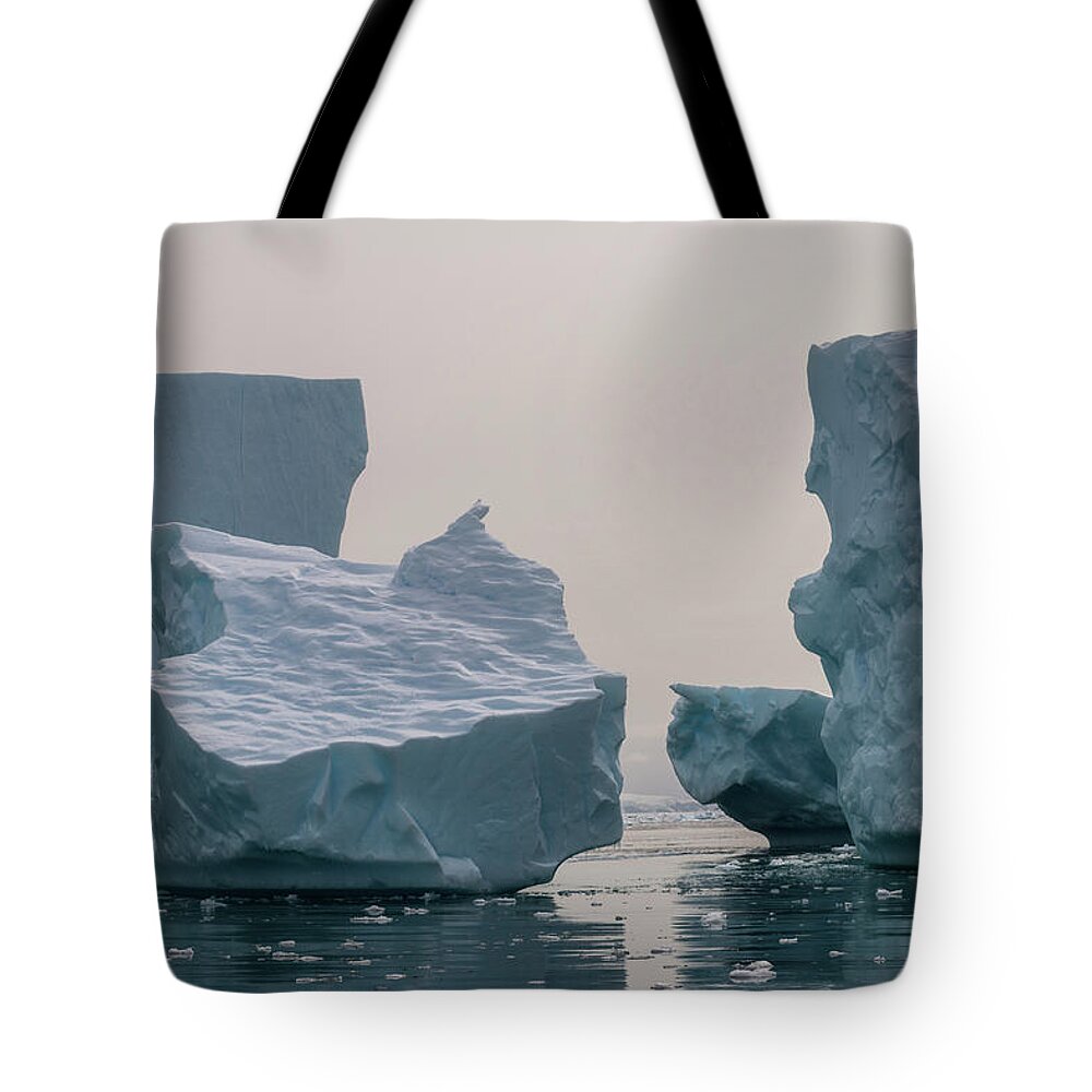 Antarctica Tote Bag featuring the photograph One Cube or Two by Alex Lapidus