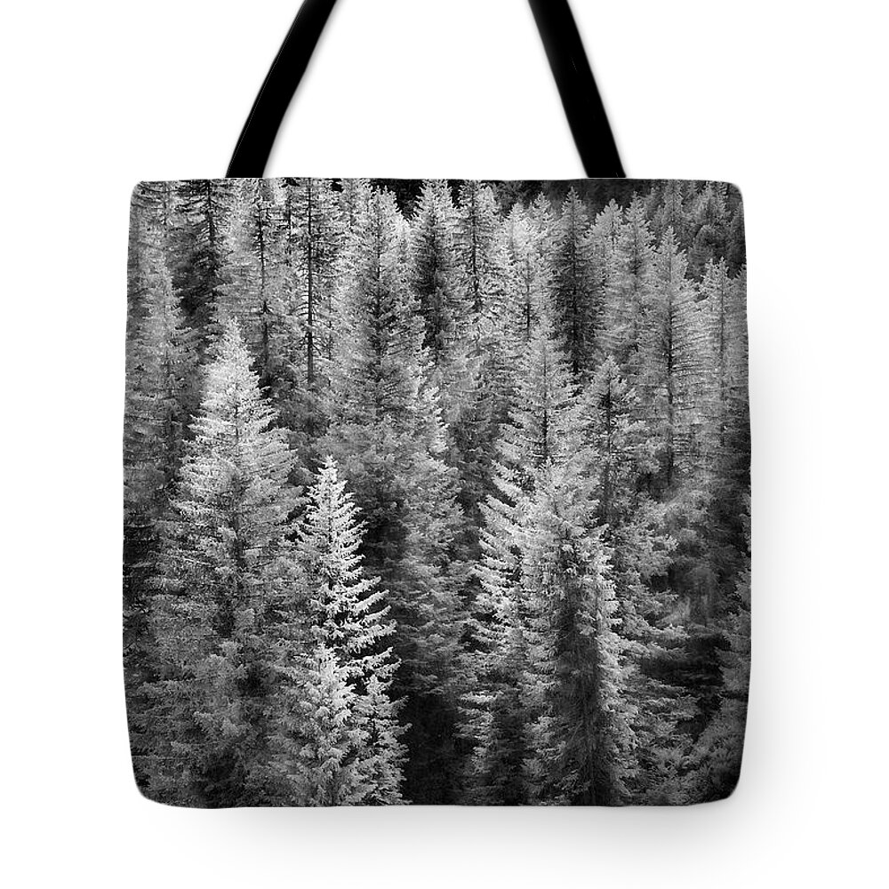 Black And White Tote Bag featuring the photograph One Of Many Alp Trees by Jon Glaser