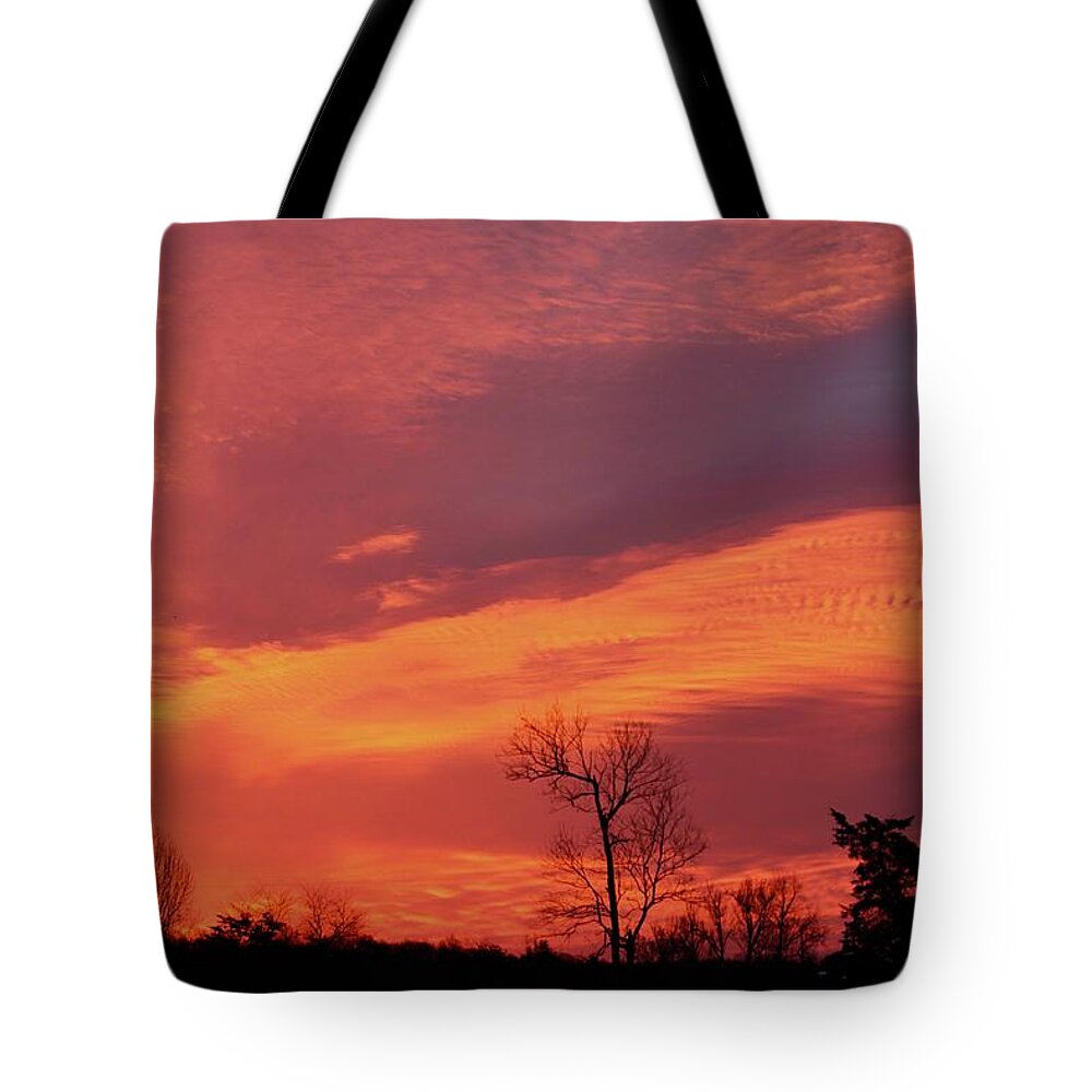 Winter Tote Bag featuring the photograph One Snowy Morning at the break of Dawn by M E