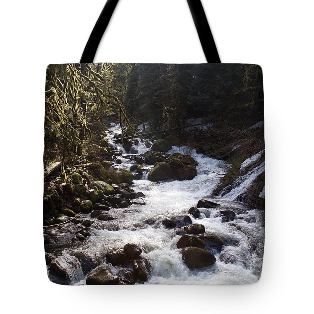 Oneonta Creek Tote Bag featuring the photograph Oneonta Creek by Dylan Punke