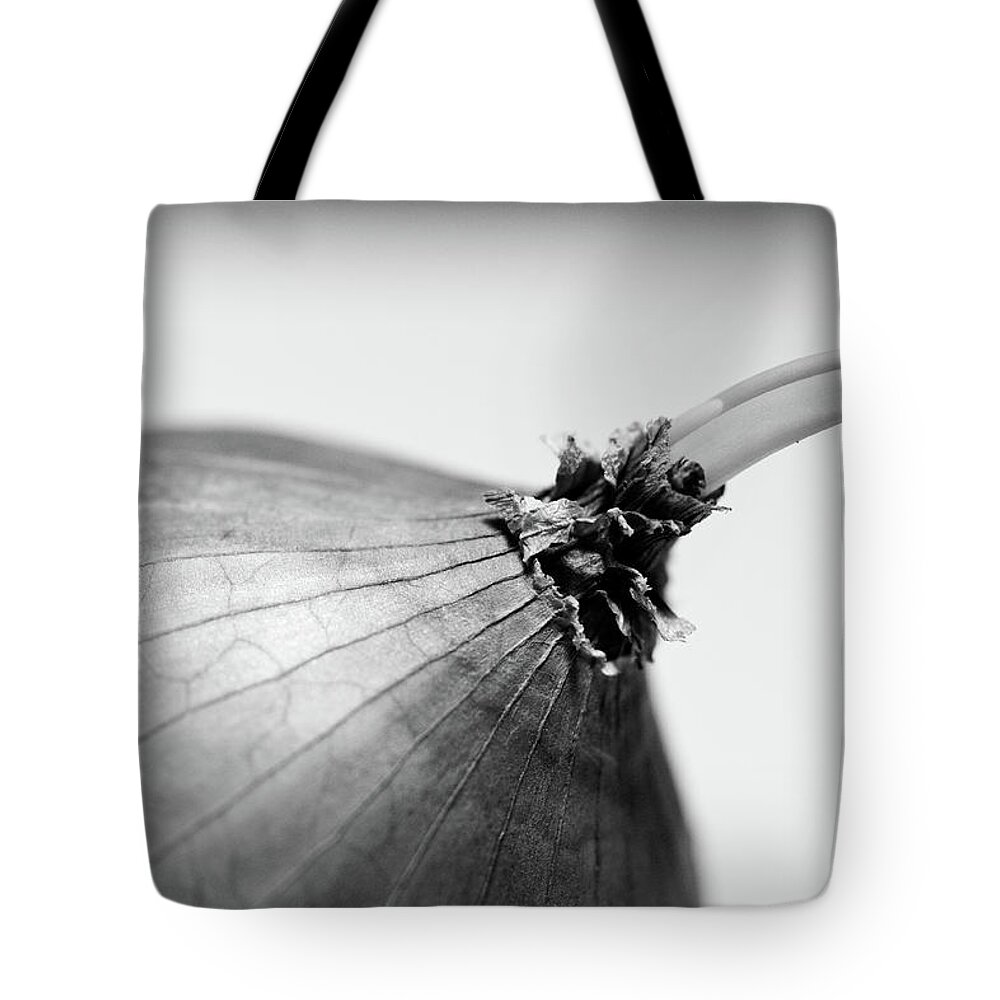 White Background Tote Bag featuring the photograph Onion Sprout by Universal Stopping Point Photography