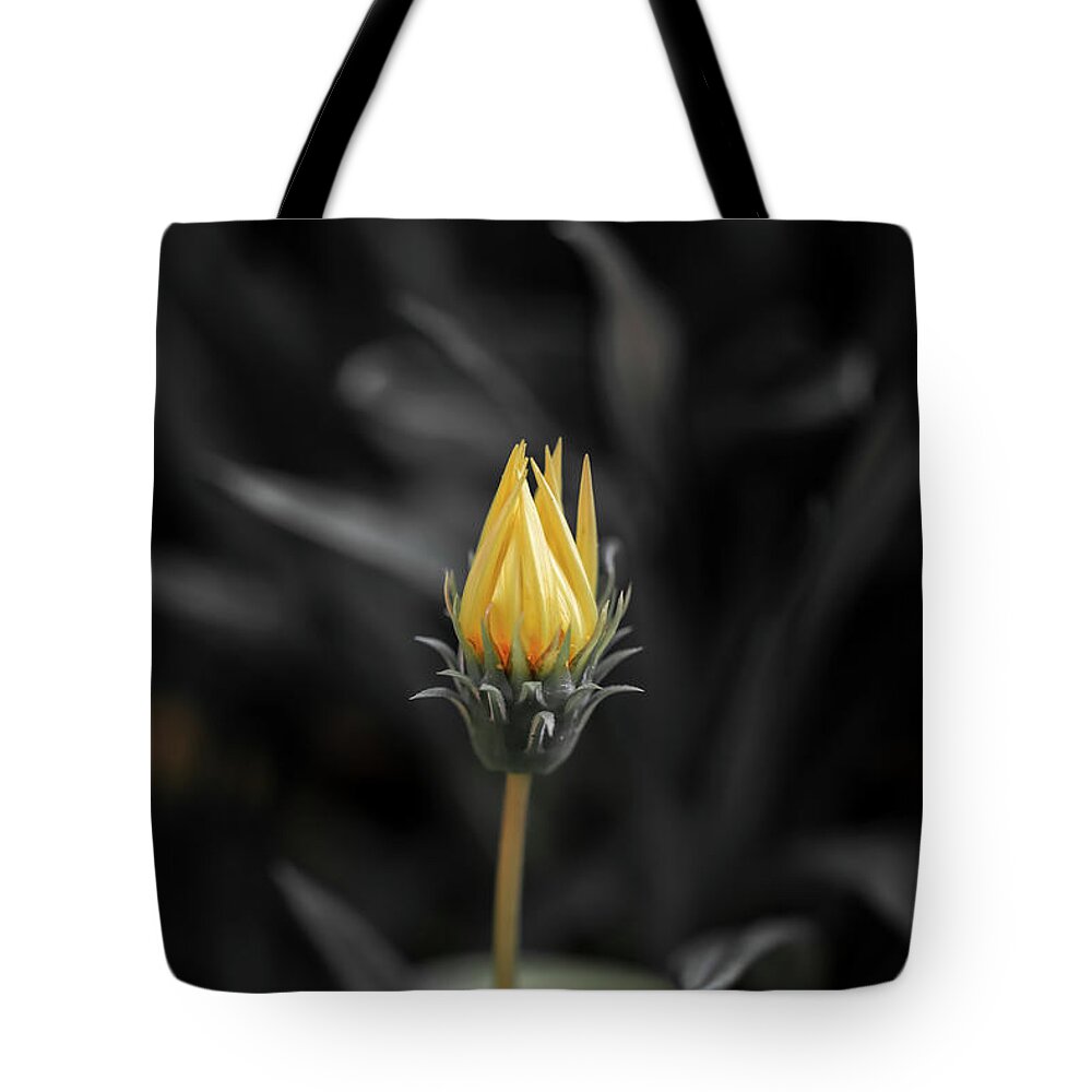 Australia Tote Bag featuring the photograph Opening Up by Az Jackson