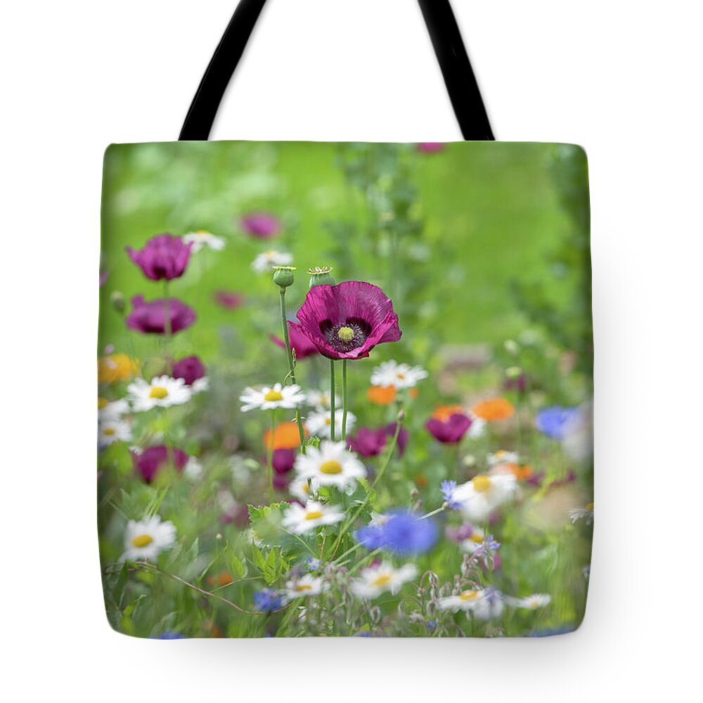 Papaver Somniferum Laurens Grape Tote Bag featuring the photograph Opium Poppy Laurens Grape by Tim Gainey