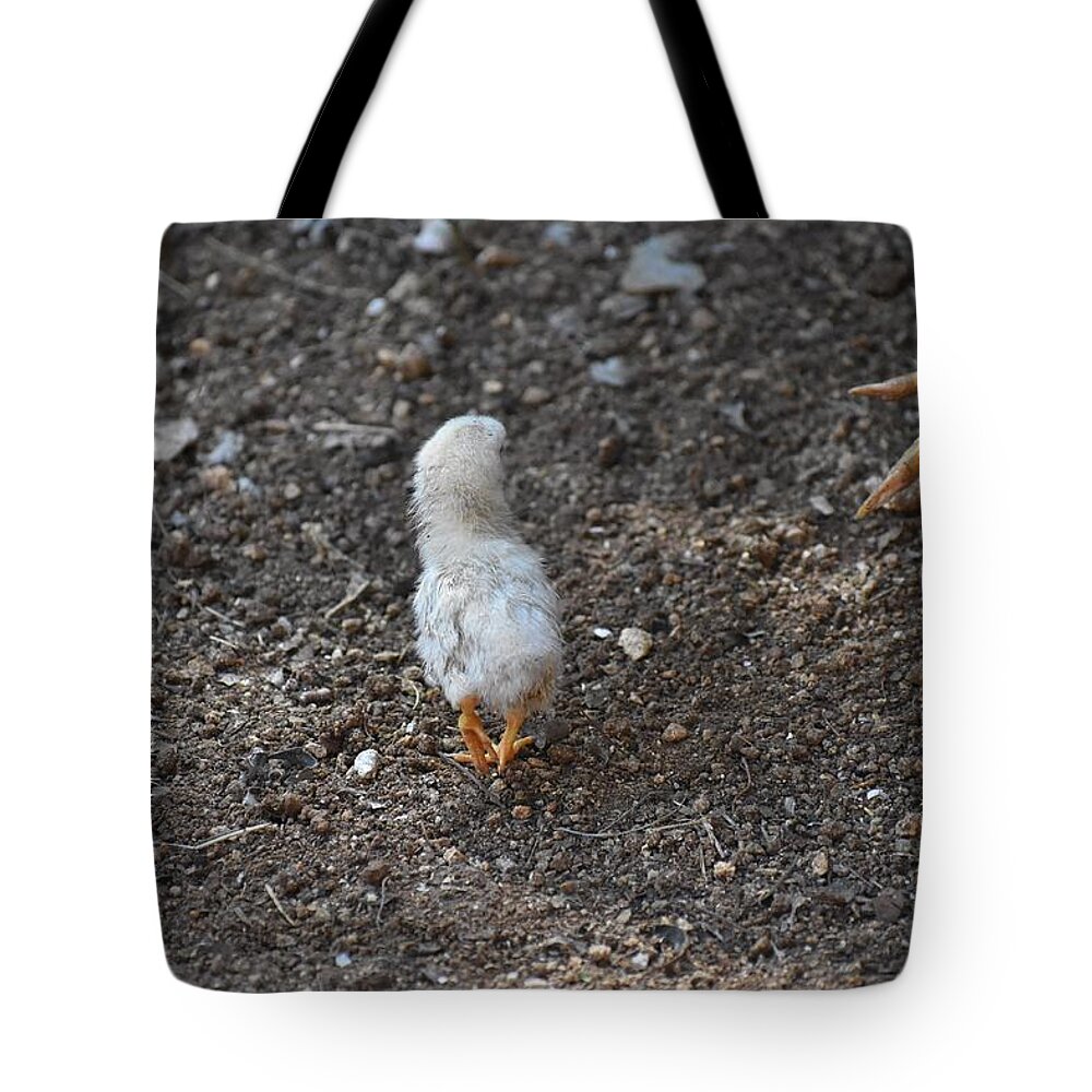 Baby Chick Tote Bag featuring the digital art Orange Feet by Cassidy Marshall