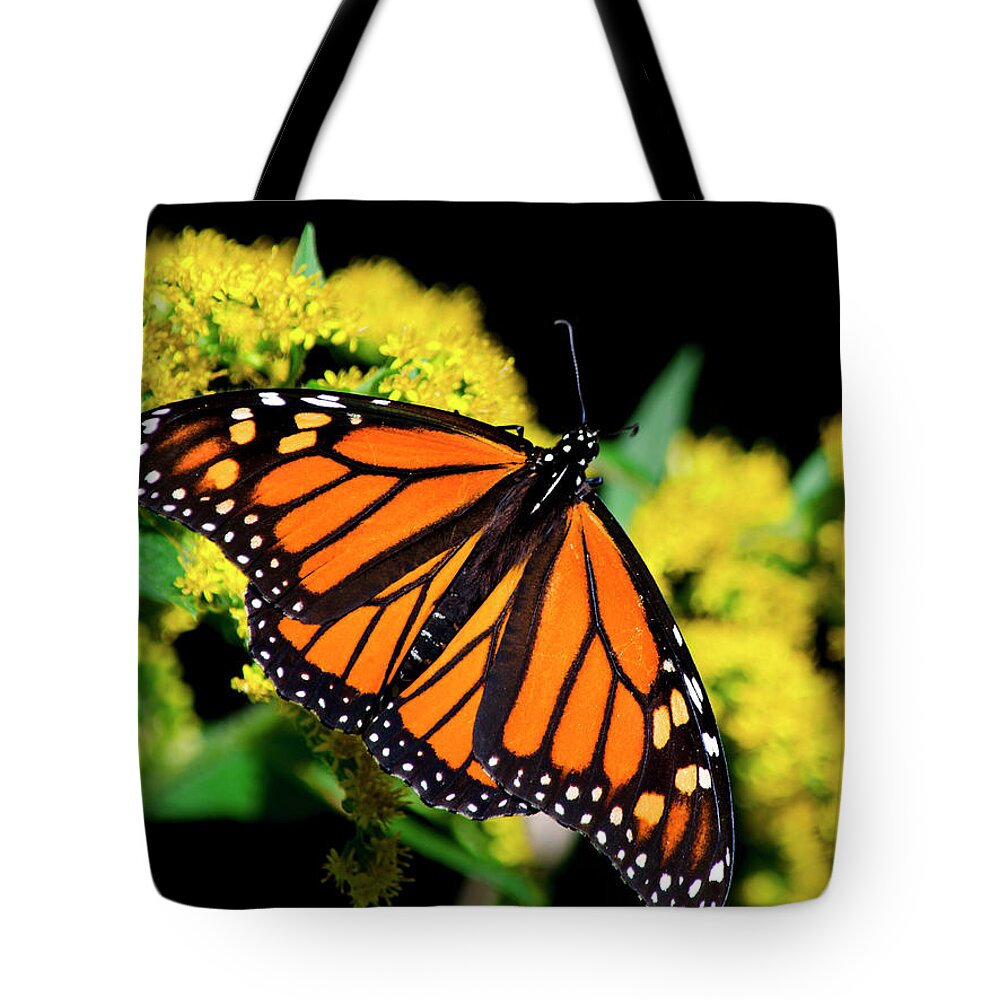 Monarch Butterfly Tote Bag featuring the photograph Orange Monarch Butterfly by Christina Rollo