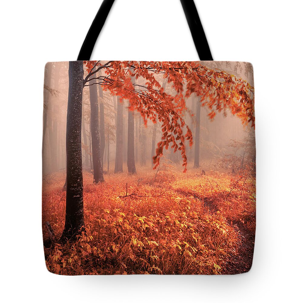 Mountain Tote Bag featuring the photograph Orange Wood by Evgeni Dinev