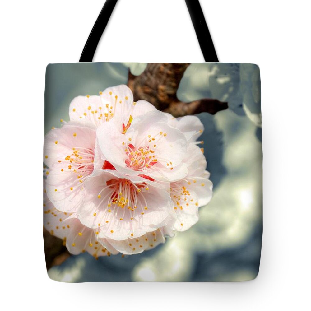 Petal Tote Bag featuring the photograph Orchard Of Apricot Trees by Alain Cachat