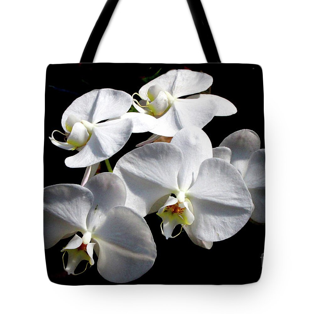 Nature Tote Bag featuring the photograph Orchid Quintet by Mariarosa Rockefeller