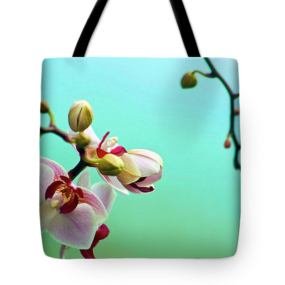Petal Tote Bag featuring the photograph Orchids Out For A Breath Of Fresh Air by Photo By Alan Shapiro