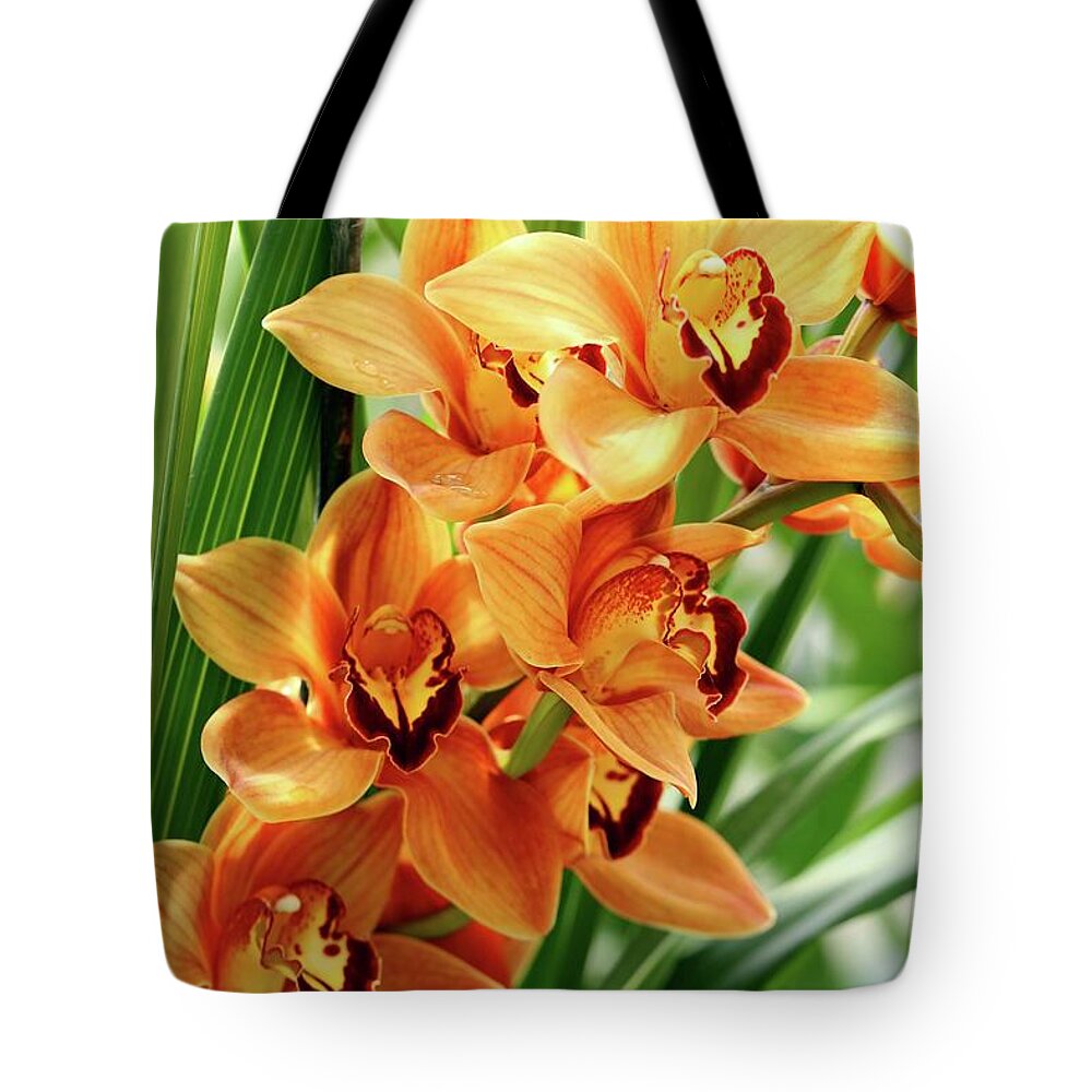 Orchids Tote Bag featuring the photograph Orchids by Terri Brewster