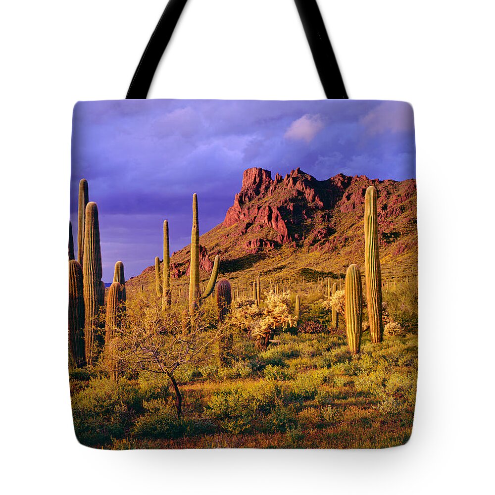 Saguaro Cactus Tote Bag featuring the photograph Organ Pipe Cactus National Monument by Ron thomas