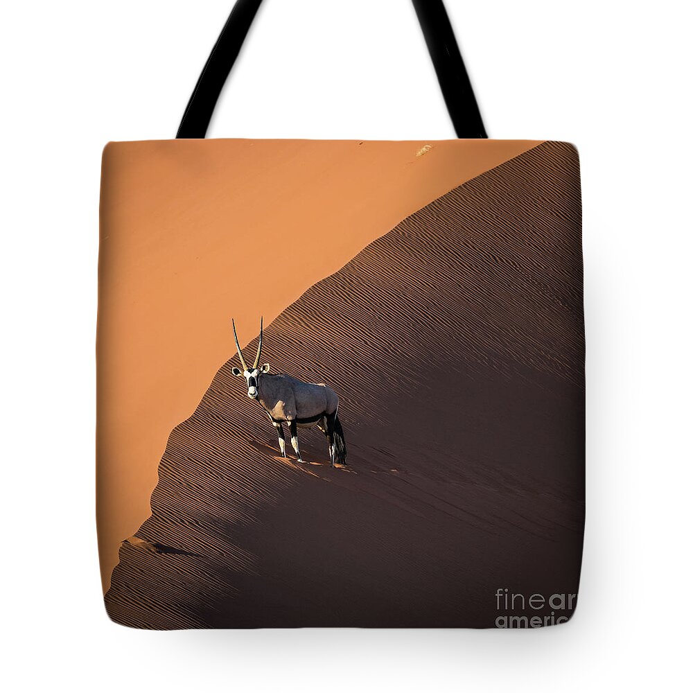 Gemsbok Tote Bag featuring the photograph Oryx on the edge, Namibia by Lyl Dil Creations