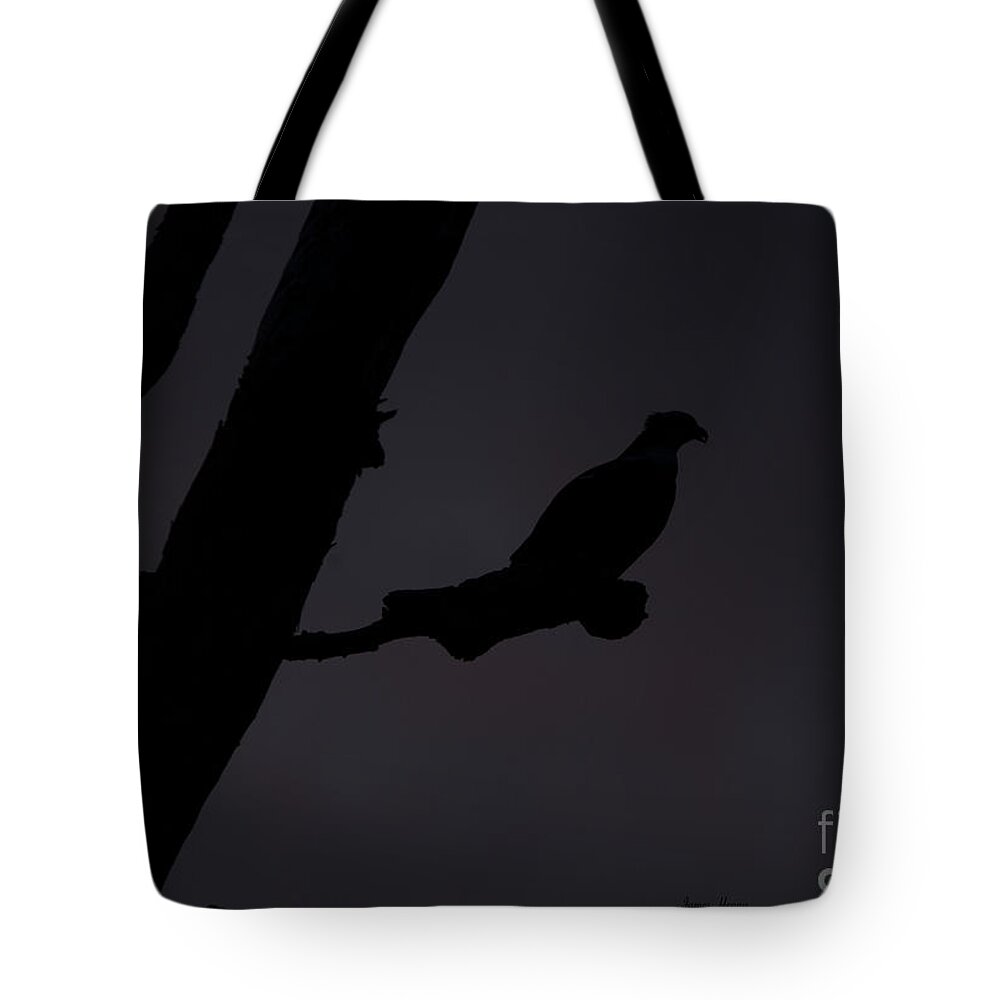 Osprey Tote Bag featuring the photograph Osprey at Dusk by Metaphor Photo