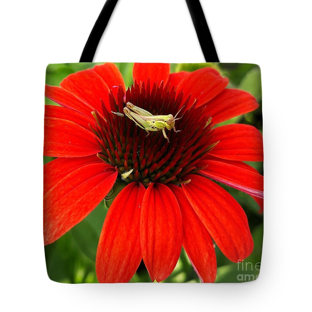 Insect Tote Bag featuring the photograph Ouch Ouch Ouch by Dani McEvoy